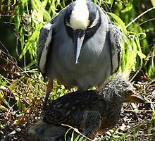 I'm The Survivor Because My Mother Is Protecting Me - Soy El Supervivente Por Que Mi Madre Me Esta Protegiendo by Bernhard Matejka