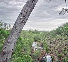 Florence Falls by AllshotsImaging