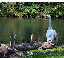 You stay away from my family by Sandra Caven