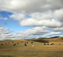 The Great Wide Open by Laurie Search