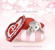 Ferrets, the thieves of hearts by marithis