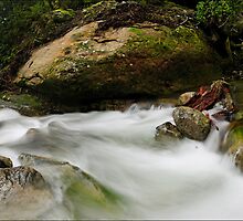 Chasm Pan by Robert Mullner
