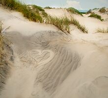 Seascape - Hatteras, NC by Sonya Saunders