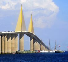 Eagle under the Skyway by David Lee Thompson
