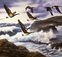Hugging the Coastline by Chris J Worden Gregg