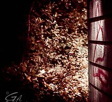 Hidden Danger by Gabriel Alan Gallant