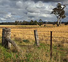 Farm property at Grenfell by Darren Stones