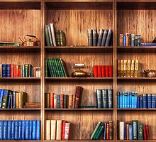 Book Shelf by Svetlana Sewell
