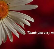 THANK YOU VERY MUCH by RoseMarie747