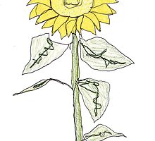 sunflower by dthaase