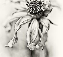 Bad dream... (b/w) by Bob Daalder
