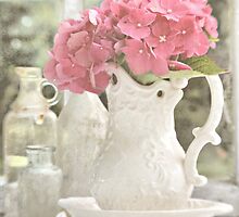 Hydrangea By The Window by Shelly Harris