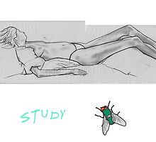 Study by robertemerald