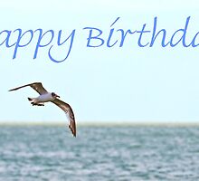 Birthday Bird by JEZ22