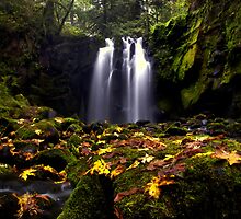 How Great it Is ~ McDowell Creek Falls ~ by Charles & Patricia Harkins ~ Picture Oregon