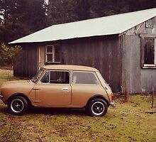 A Golden Oldie by michellerena