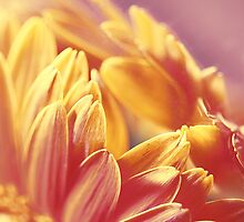 Gently Burning by Tangerine-Tane