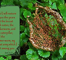 Promise to Restore ~ Joel 2:25 by Robin Clifton