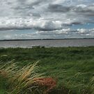 The River Humber by Addo-pix