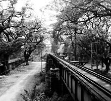 Death Railway by PerkyBeans