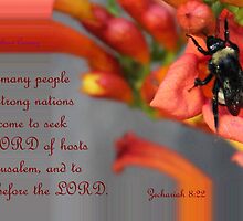 Pray Before The Lord by aprilann