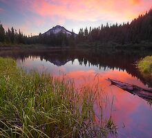 Touching the Quick by Tula Top