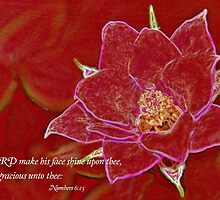 The Lord Make His Face Shine Upon Thee by aprilann