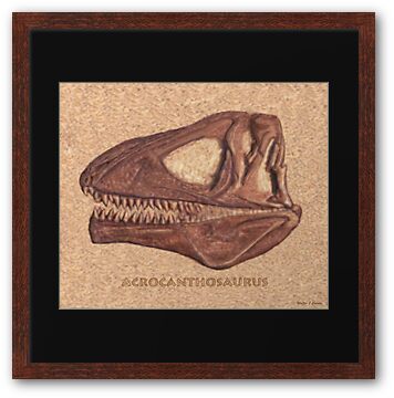 acrocanthosaurus fossil