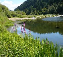 Perfect Day At The River by Jess Meacham