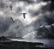 Three Calling Wild by Kenart
