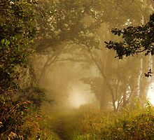 Expectations by John Dunbar