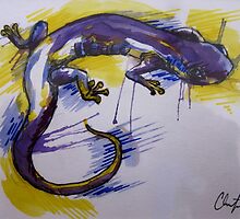 Salamander Burst by Christopher Boring