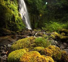 A Spoken Prayer, a Whispered Dream, and the Silent Glimmer In Between by Tula Top