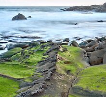 Fossilised Backbone by John Sharp