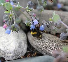 Nesten blomster og bier by Ruth Vihovde