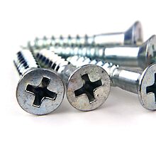 Silver Screws by BlinkImages