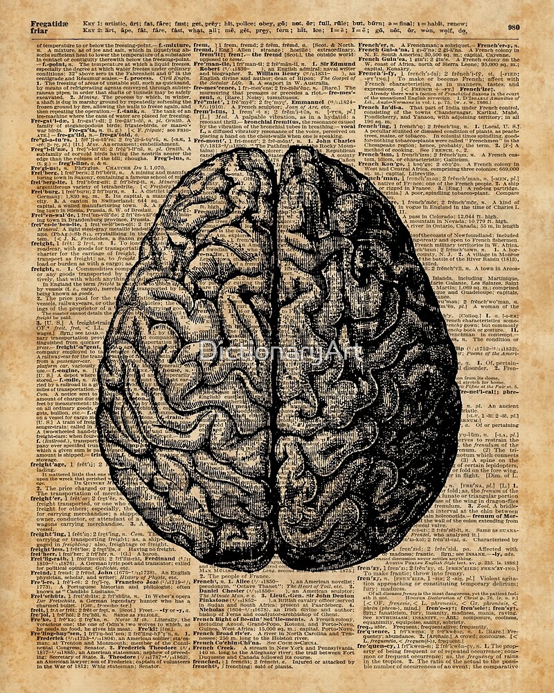 "Vintage Human Anatomy Brain Illustration Dictionary Book Page Art" By ...