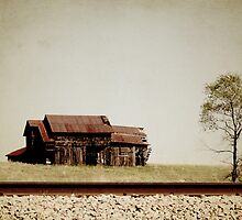 Once Upon a Time by Sonya Lynn Potts