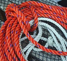 Boat Ties That Bind by Monnie Ryan