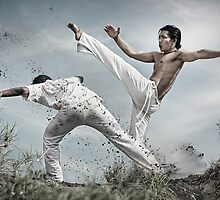 Capoeira fighter by ferli