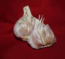 Cloves of Garlic by AnnDixon