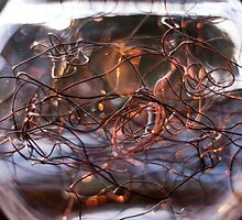 Inner Workings by Abby Thompson