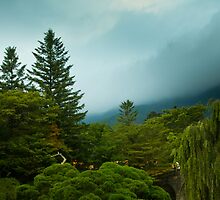 Park at Bulguksa by Gabor Pozsgai