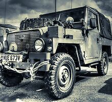 The Defender by Ian Hufton