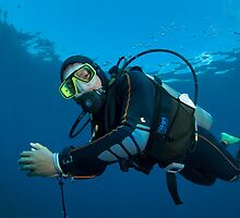 The dive guide by Stephen Colquitt