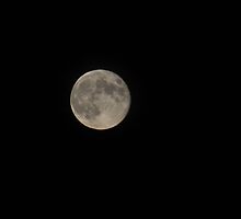 Full Moon 9/30/2012 by mltrue