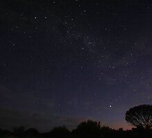 Land of the Southern Cross by Tim Coleman