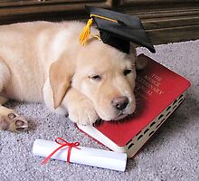 Graduation! What an ordeal! by DennisThornton
