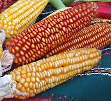 Corn over the table by Ivo Velinov