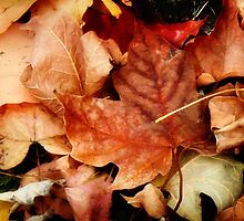 October Medley by Nadya Johnson